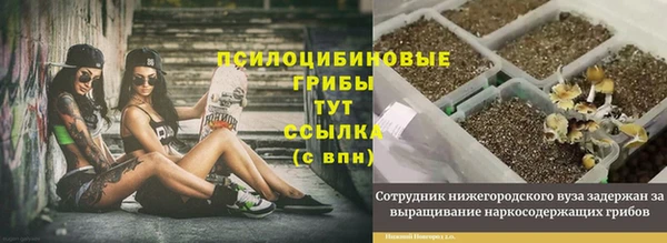 ALPHA-PVP Арсеньев