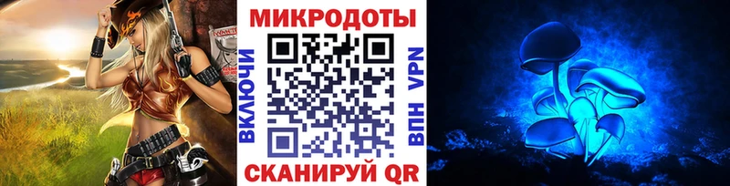 Псилоцибиновые грибы Psilocybine cubensis  Малоархангельск 